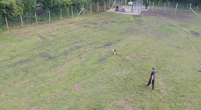 Pawsome walks Dog Walking Field