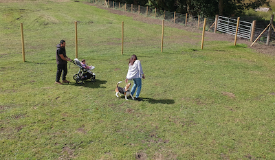 Pawsome walks Dog Walking Field