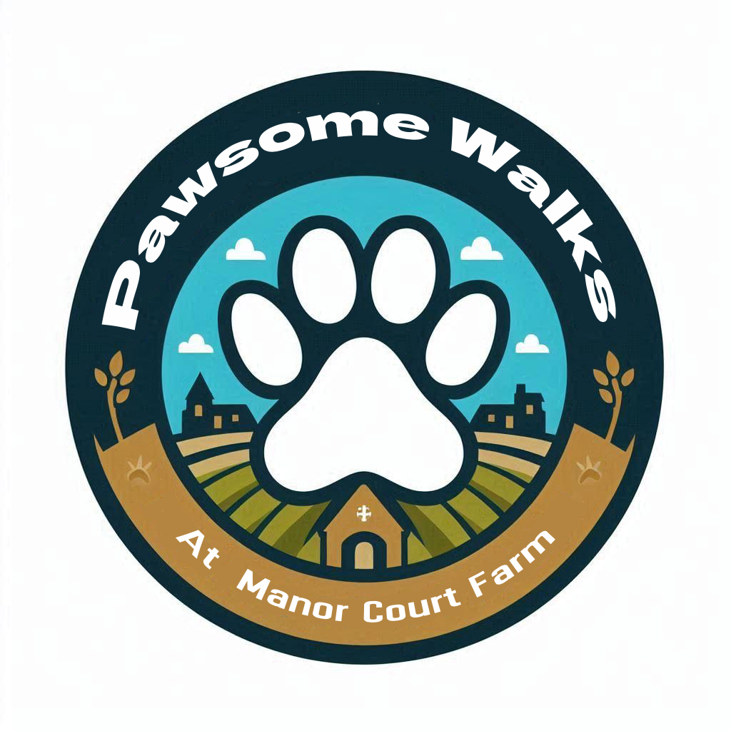 Pawsome walks bridgend